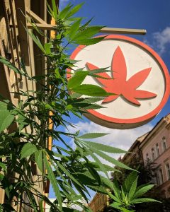 hempa-cbd-hemp-store-prague-entrance-day