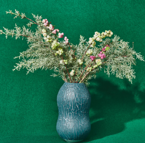 houseplant-brand-product-3